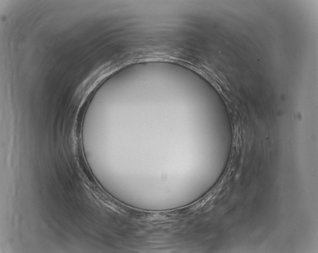 X0000080730290200612150910