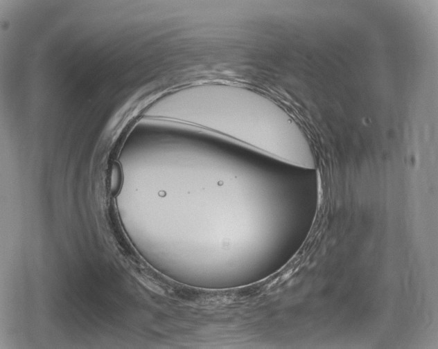 X0000080730291200612150910