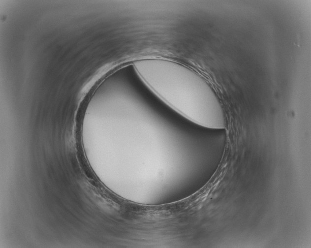 X0000080730292200612150910