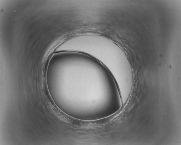 X0000080730293200612150910