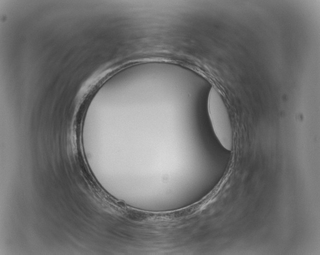 X0000080730294200612150910