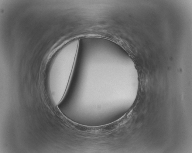 X0000080730295200612150910