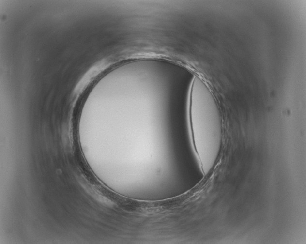 X0000080730296200612150910