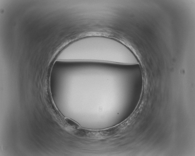 X0000080730297200612150910