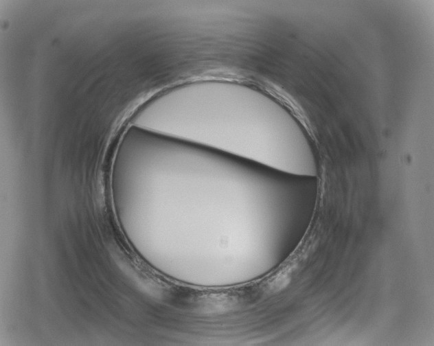 X0000080730298200612150910