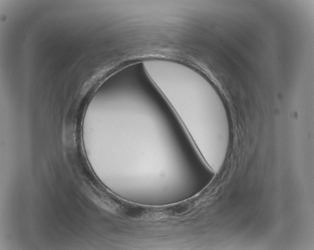 X0000080730299200612150910