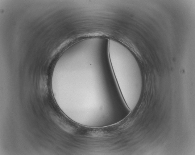 X0000080730300200612150910