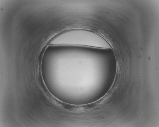 X0000080730301200612150910