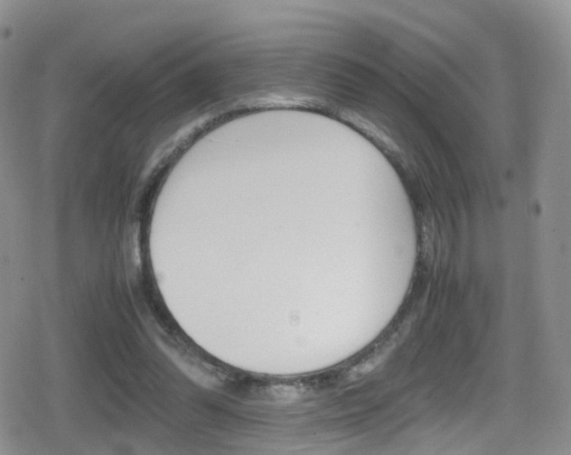 X0000080730302200612150910