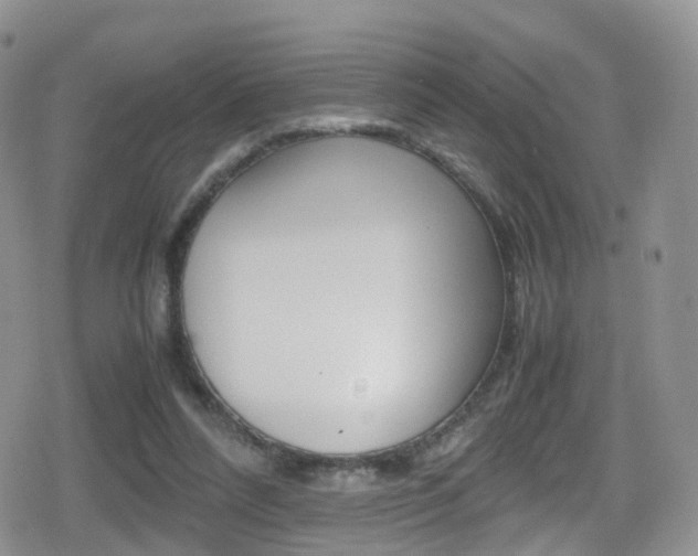 X0000080730304200612150910