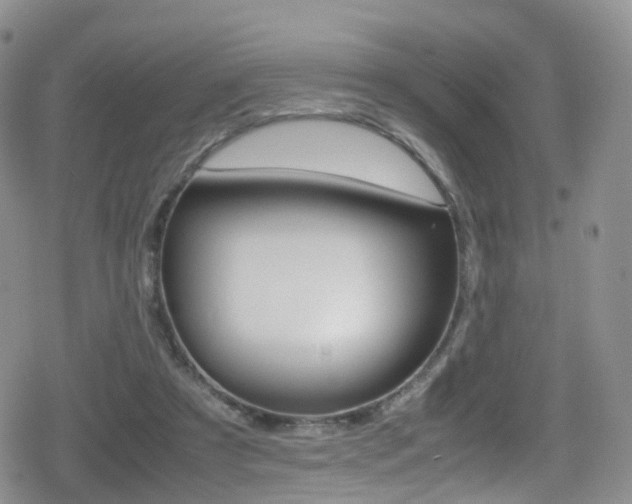 X0000080730305200612150910