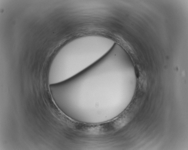 X0000080730306200612150910