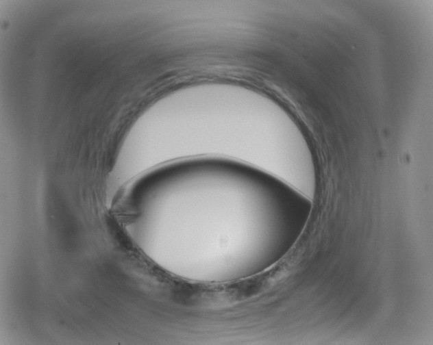 X0000080730307200612150910