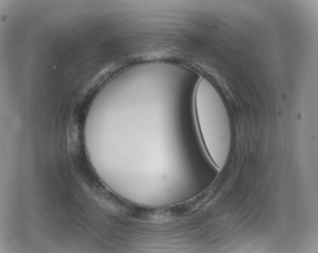 X0000080730308200612150910