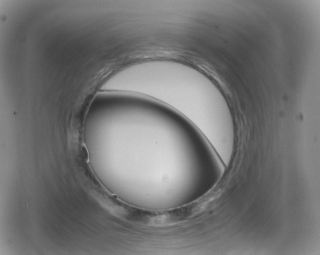 X0000080730309200612150910