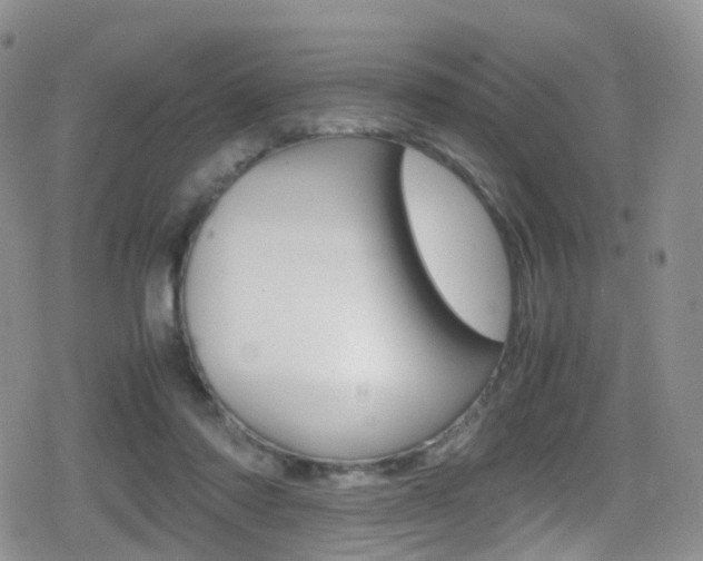 X0000080730310200612150910