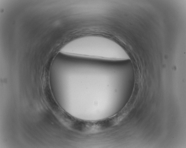 X0000080730311200612150910