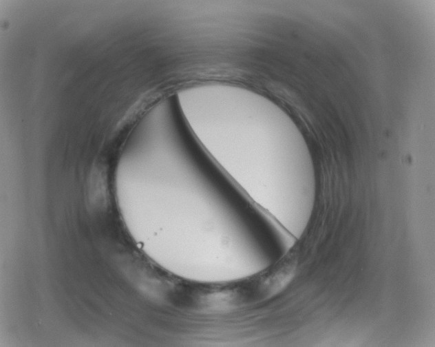 X0000080730312200612150910