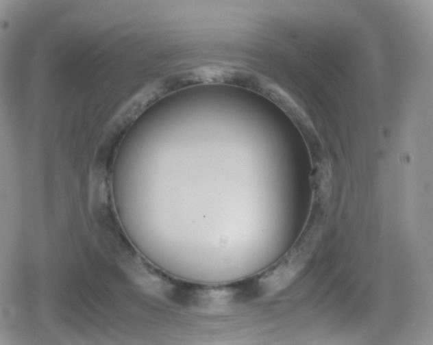 X0000080730313200612150910