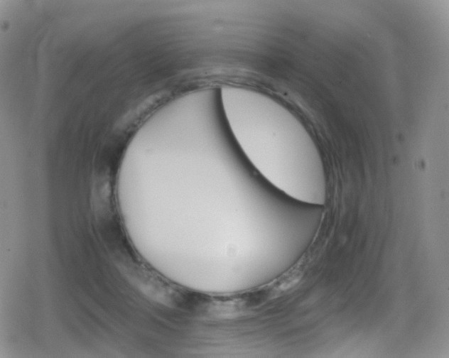 X0000080730314200612150910