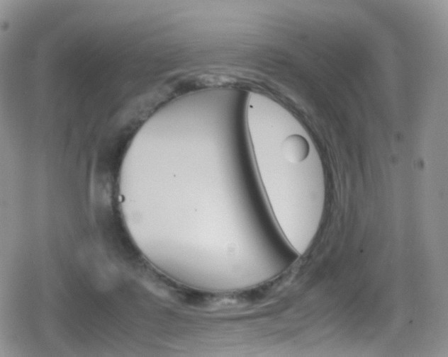 X0000080730315200612150910