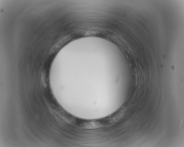 X0000080730316200612150910