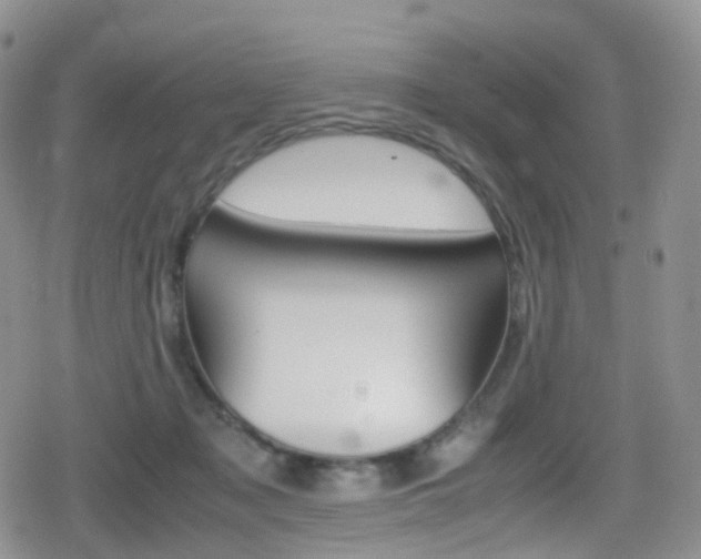 X0000080730317200612150910