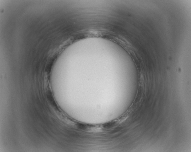 X0000080730318200612150910