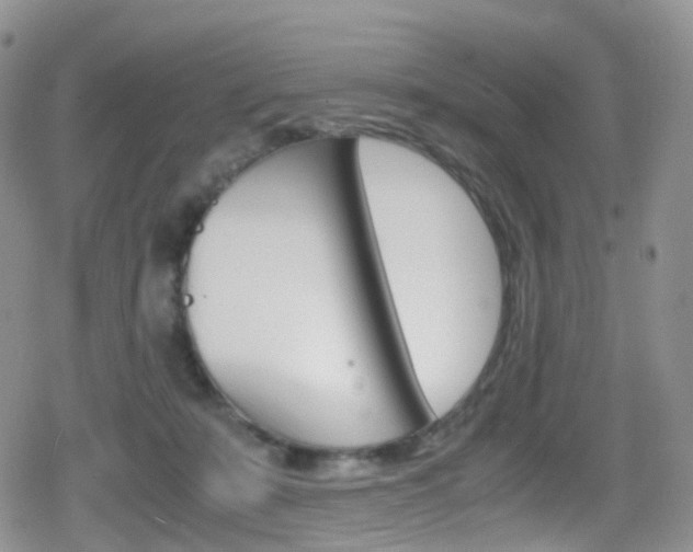 X0000080730319200612150910