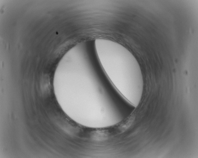 X0000080730320200612150910