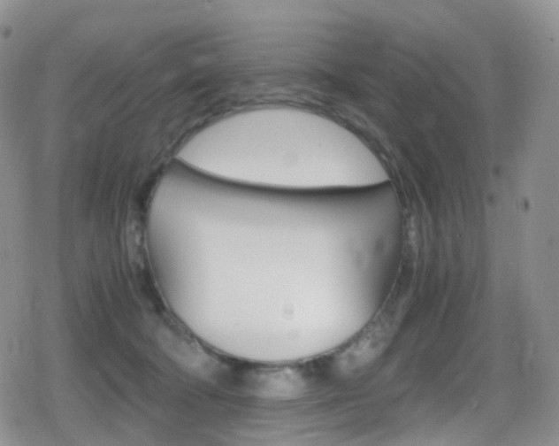 X0000080730322200612150910