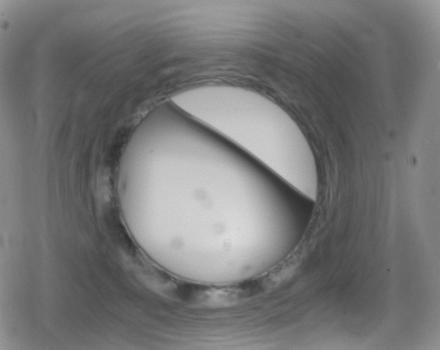 X0000080730323200612150910