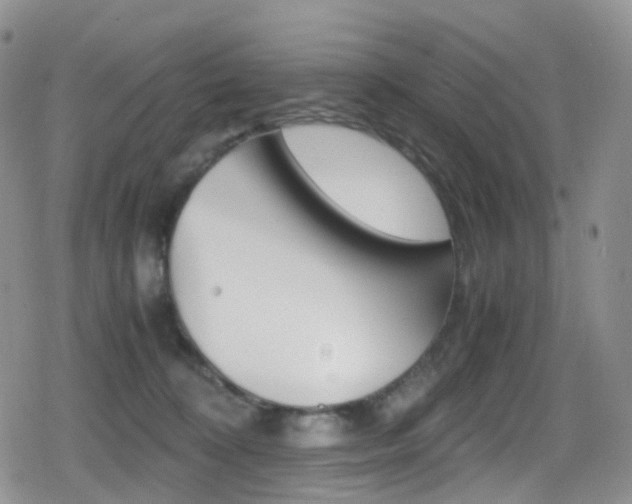 X0000080730324200612150910