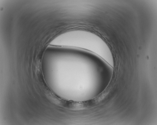 X0000080730325200612150910