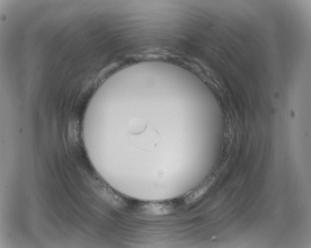 X0000080730326200612150909