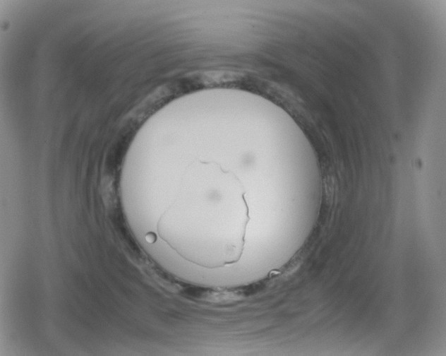 X0000080730327200612150909