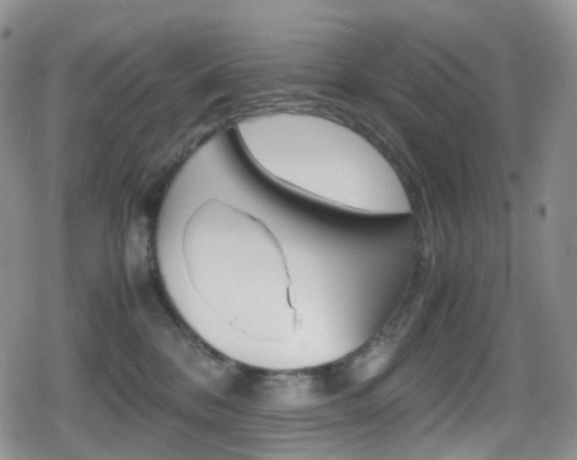 X0000080730328200612150909