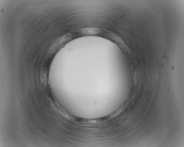 X0000080730330200612150909