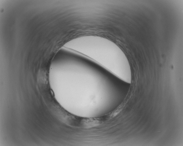 X0000080730331200612150909