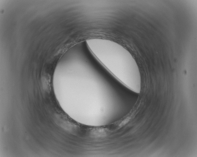 X0000080730332200612150909