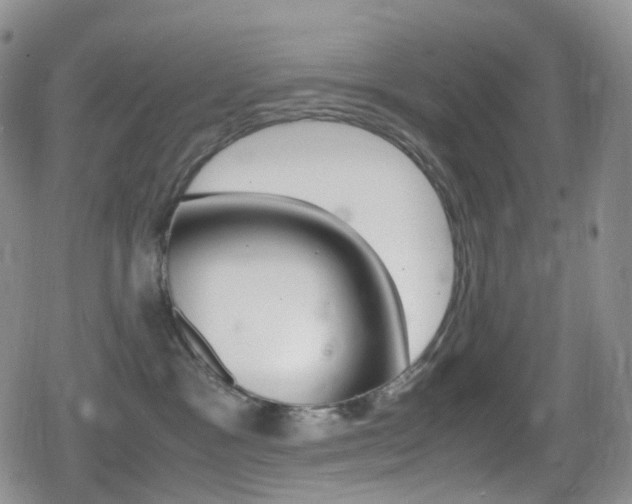 X0000080730333200612150909