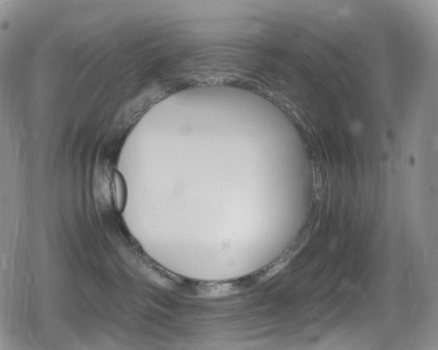 X0000080730334200612150909