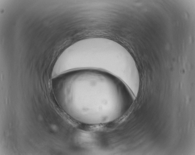 X0000080730335200612150909