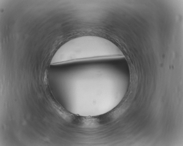 X0000080730336200612150909