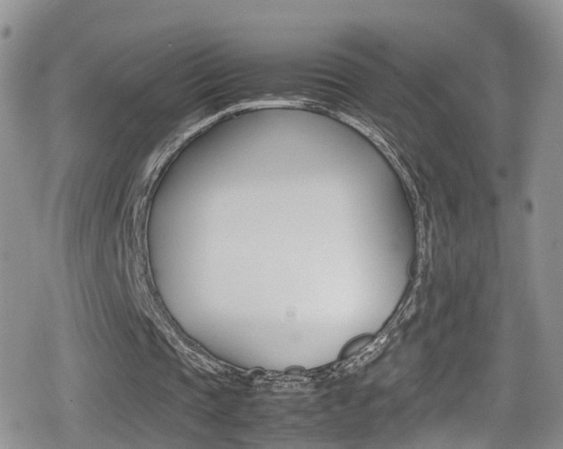 X0000080730337200612150909