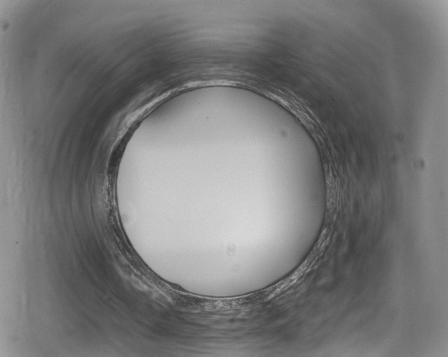 X0000080730338200612150909