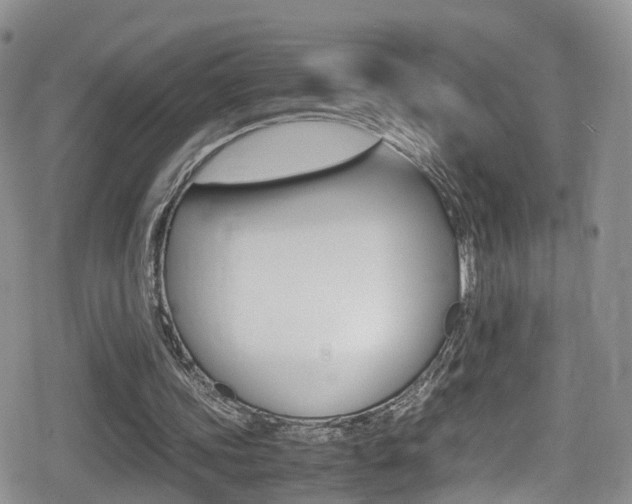 X0000080730339200612150909