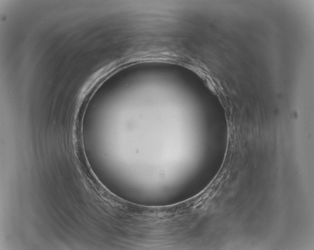 X0000080730340200612150909