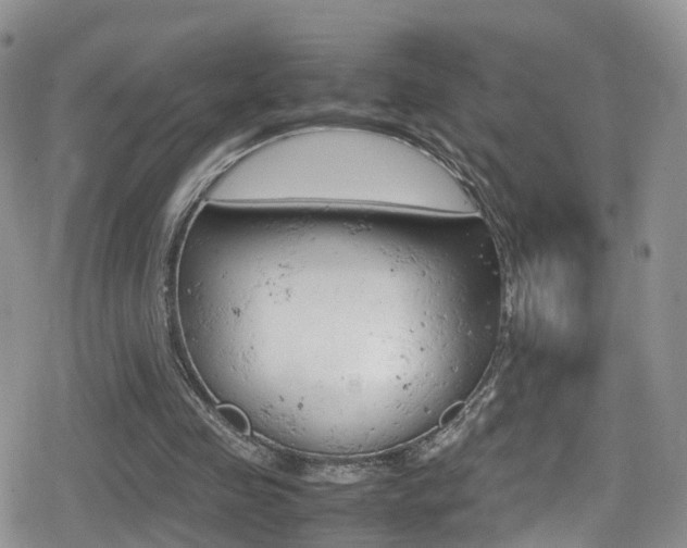 X0000080730341200612150909