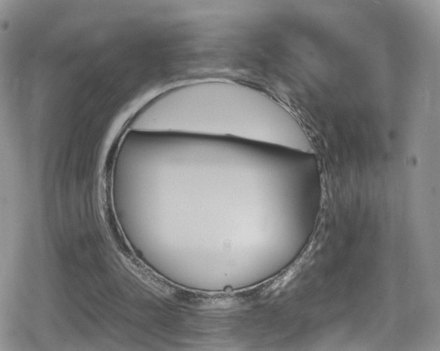 X0000080730342200612150909